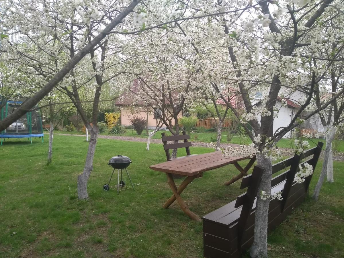 Smyrkowy Dom Z Kominkiem Z Goraca Balia Kolo Karpacza Janowice Wielkie Exteriör bild